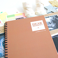 디어모먼트(카멜)-제이로그 임신 초음파앨범(스크랩)